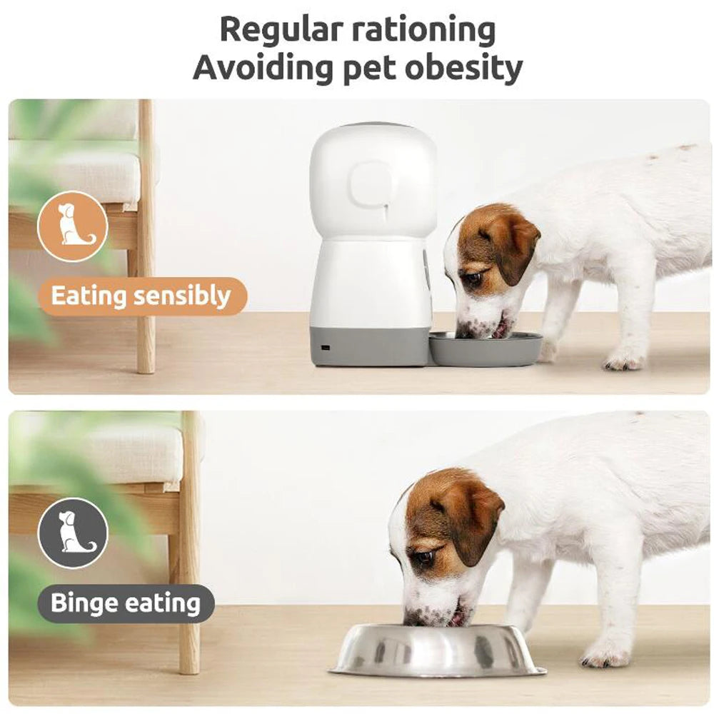 CozyLiving™ Automatic Pet Feeder with Timer and Stainless Steel Bowl for Cats and Dogs - Cozy Living